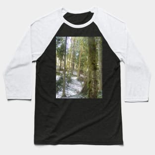 Forest Sun Rays in the Snow #54 Baseball T-Shirt